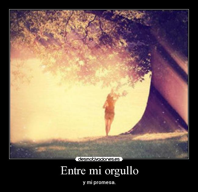 carteles linkin park before everything desmotivaciones