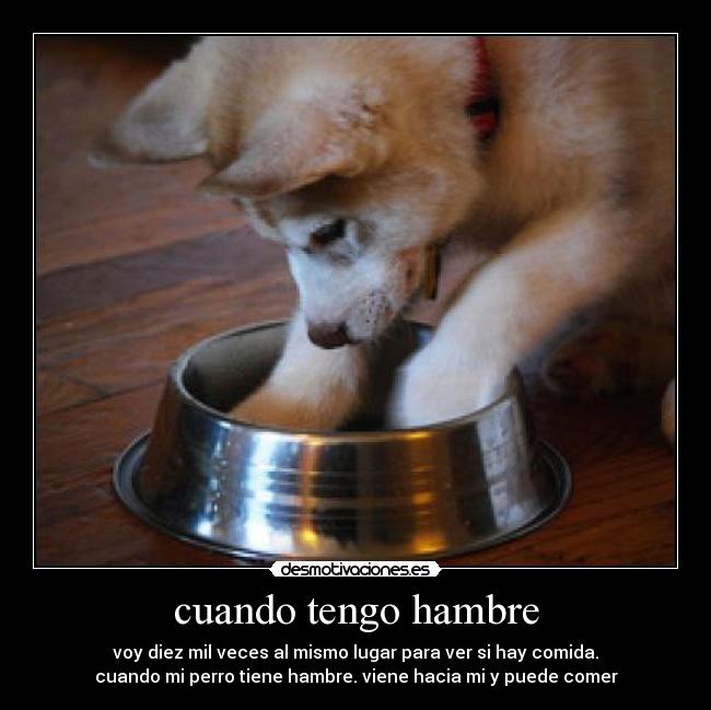 cuando tengo hambre - voy diez mil veces al mismo lugar para ver si hay comida.
cuando mi perro tiene hambre. viene hacia mi y puede comer