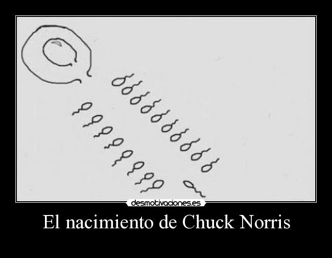 El nacimiento de Chuck Norris - 