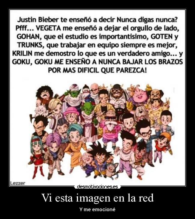 Vi esta imagen en la red -