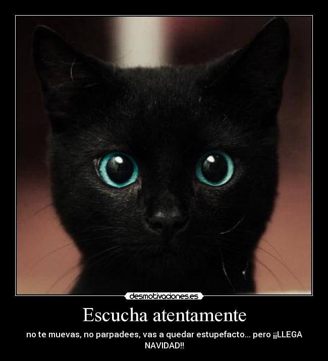 Escucha atentamente - no te muevas, no parpadees, vas a quedar estupefacto... pero ¡¡LLEGA NAVIDAD!!