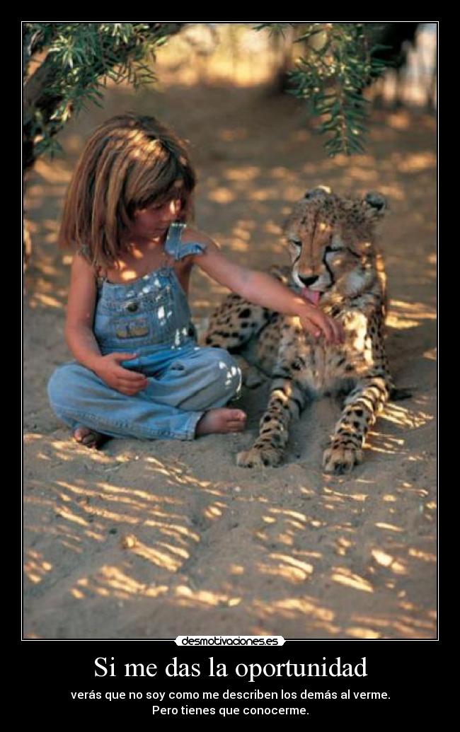 Si me das la oportunidad - verás que no soy como me describen los demás al verme.
Pero tienes que conocerme.