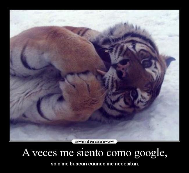 A veces me siento como google, -