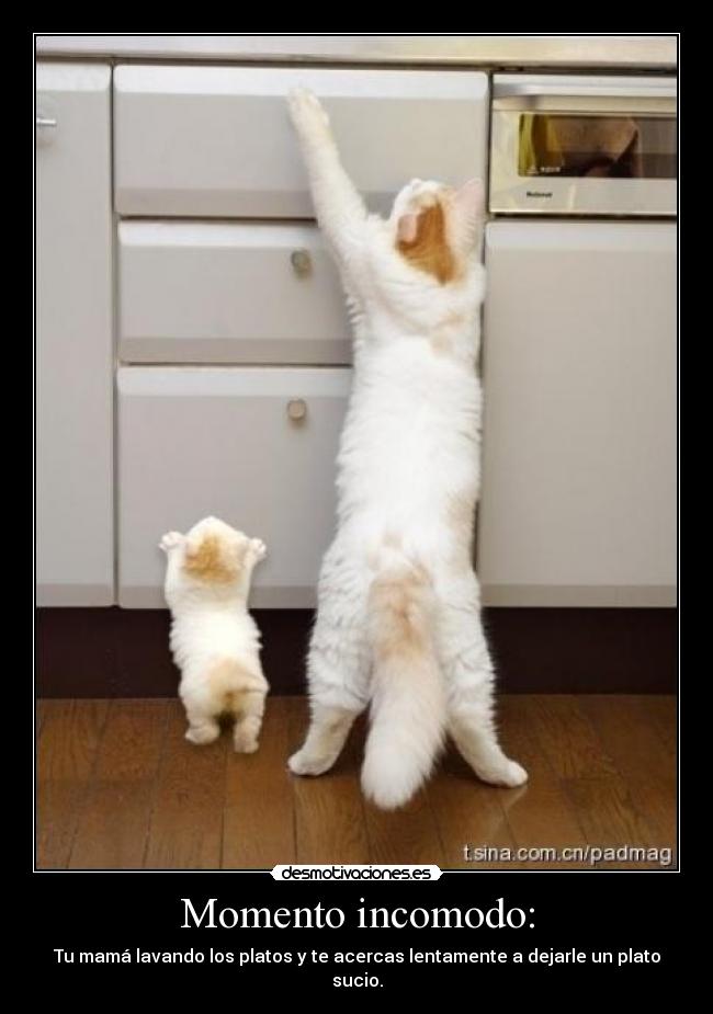 Momento incomodo: - Tu mamá lavando los platos y te acercas lentamente a dejarle un plato sucio.