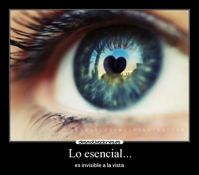 Lo esencial... - 