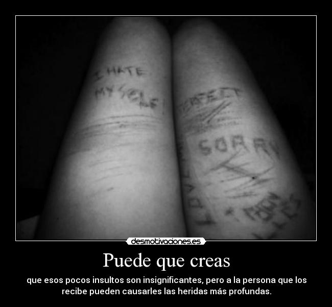 Puede que creas - que esos pocos insultos son insignificantes, pero a la persona que los
recibe pueden causarles las heridas más profundas.