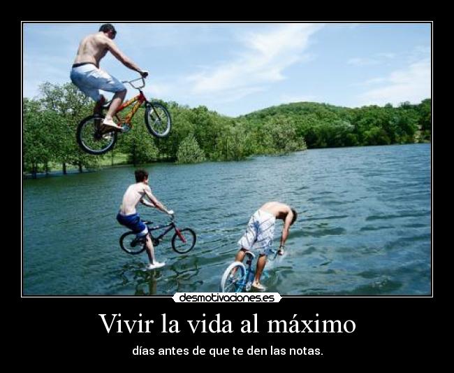 Vivir la vida al máximo - días antes de que te den las notas.