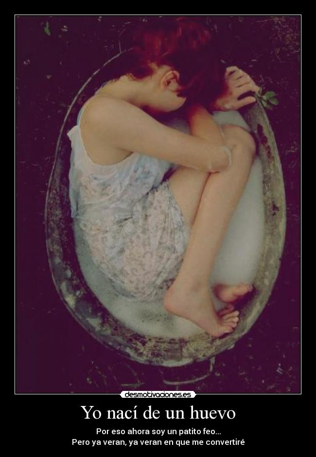 Yo nací de un huevo - Por eso ahora soy un patito feo...
Pero ya veran, ya veran en que me convertiré