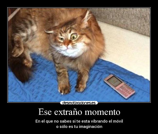 Ese extraño momento -