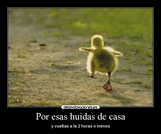 Por esas huidas de casa - y vueltas a la 2 horas o menos