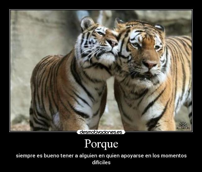 Porque - siempre es bueno tener a alguien en quien apoyarse en los momentos difíciles