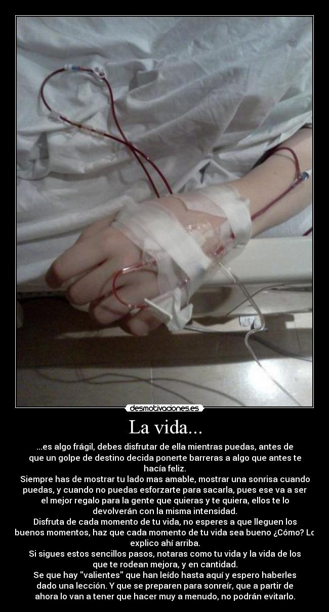 La vida... - 