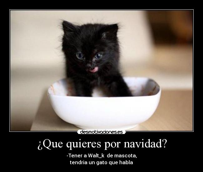¿Que quieres por navidad? - -Tener a Walt_k  de mascota,
tendria un gato que habla