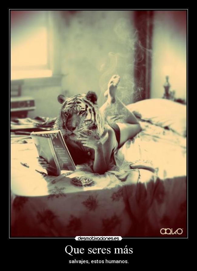 Que seres más - salvajes, estos humanos.