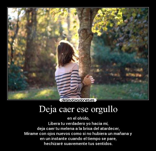 carteles improvisacion desmotivaciones