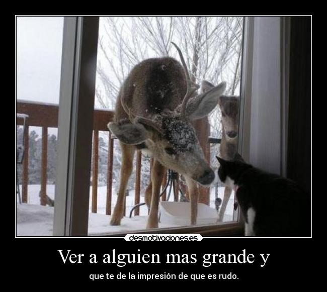 Ver a alguien mas grande y - que te de la impresión de que es rudo.