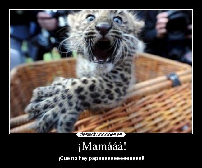 ¡Mamááá! - ¡Que no hay papeeeeeeeeeeeeeel!