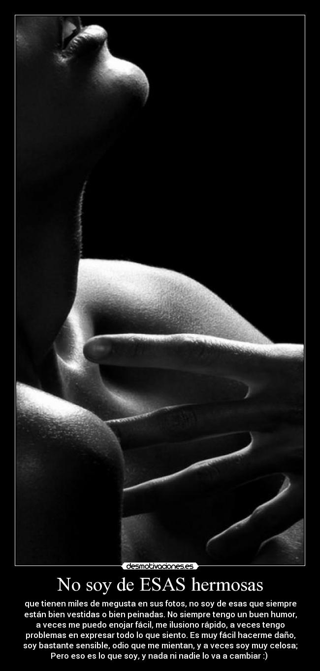 carteles gato desmotivaciones