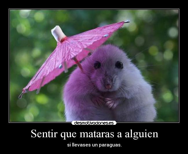 Sentir que mataras a alguien - si llevases un paraguas.