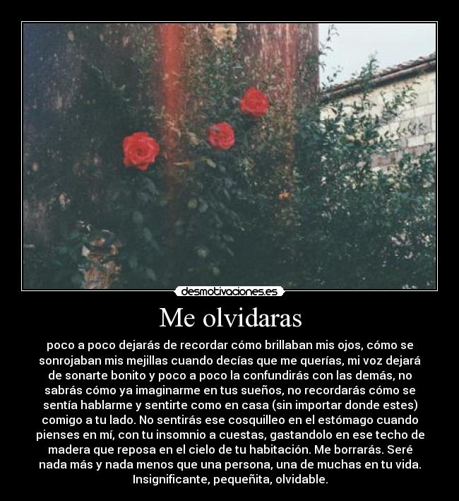 Me olvidaras - poco a poco dejarás de recordar cómo brillaban mis ojos, cómo se
sonrojaban mis mejillas cuando decías que me querías, mi voz dejará
de sonarte bonito y poco a poco la confundirás con las demás, no
sabrás cómo ya imaginarme en tus sueños, no recordarás cómo se
sentía hablarme y sentirte como en casa (sin importar donde estes)
comigo a tu lado. No sentirás ese cosquilleo en el estómago cuando
pienses en mí, con tu insomnio a cuestas, gastandolo en ese techo de
madera que reposa en el cielo de tu habitación. Me borrarás. Seré
nada más y nada menos que una persona, una de muchas en tu vida.
Insignificante, pequeñita, olvidable.