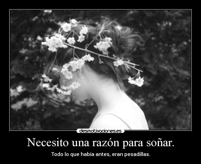 carteles suenos pesadillas missma desmotivaciones