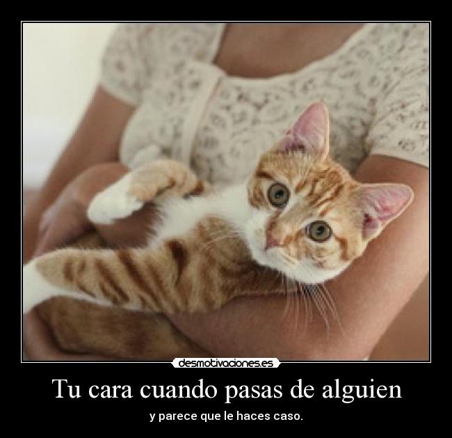 Tu cara cuando pasas de alguien - y parece que le haces caso.