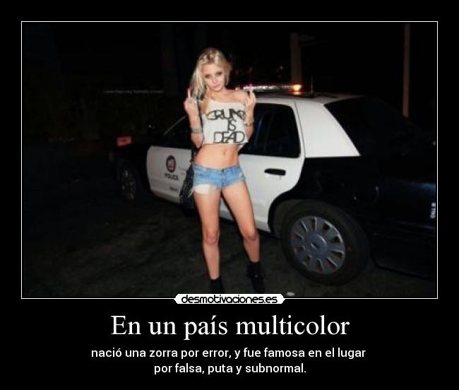 En un país multicolor -