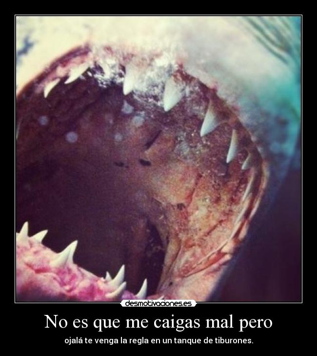 No es que me caigas mal pero - ojalá te venga la regla en un tanque de tiburones.