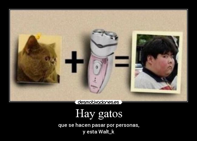 Hay gatos - que se hacen pasar por personas,
y esta Walt_k