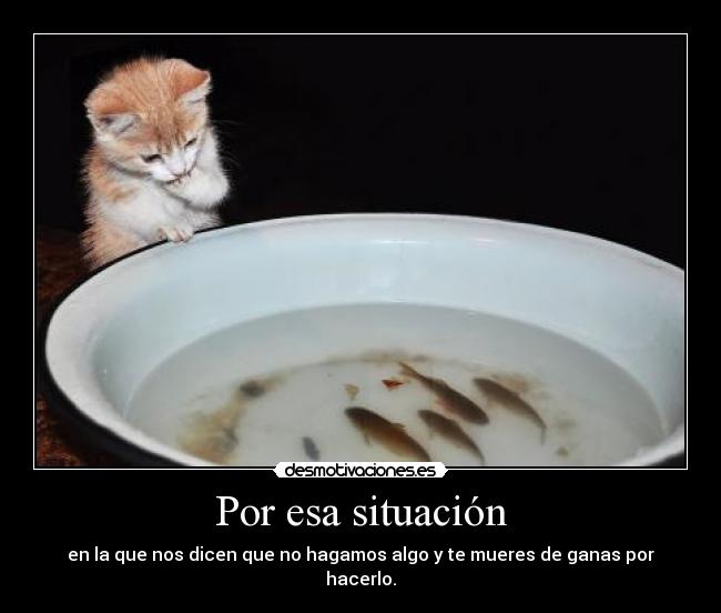 Por esa situación - 