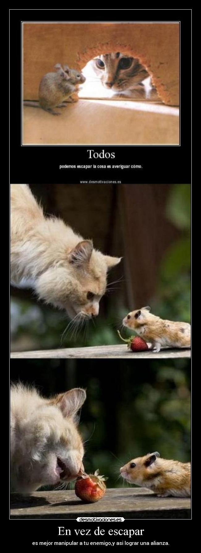 En vez de escapar - es mejor manipular a tu enemigo,y asi lograr una alianza.