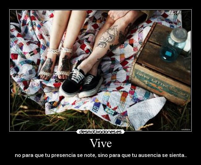 Vive -