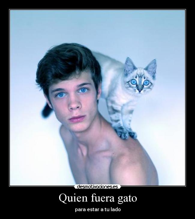 Quien fuera gato -