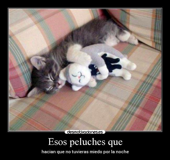 Esos peluches que - 