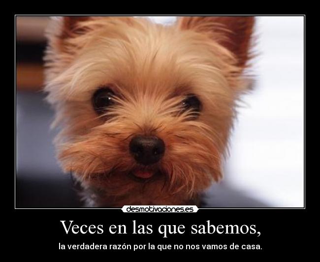 Veces en las que sabemos, -