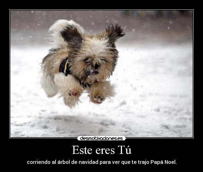 carteles este desmotivaciones