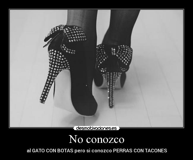 No conozco - al GATO CON BOTAS pero si conozco PERRAS CON TACONES