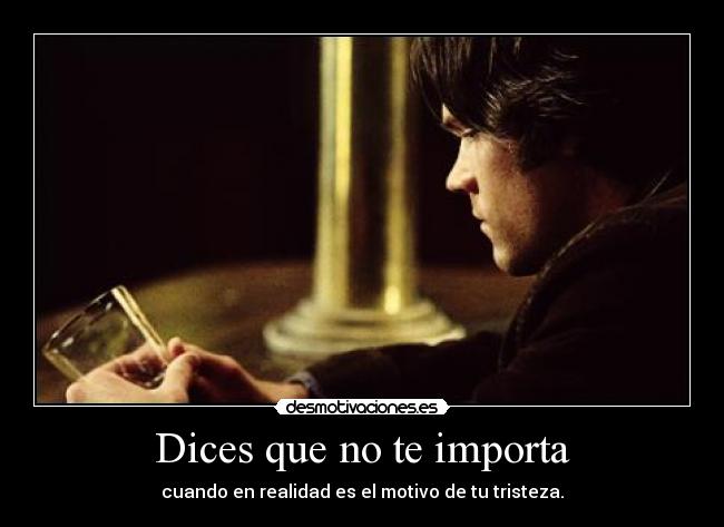 Dices que no te importa - 