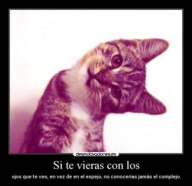 Si te vieras con los - 