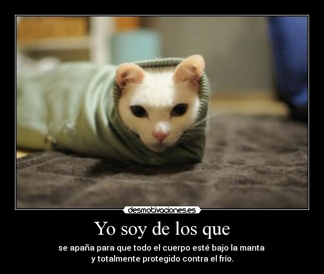 Yo soy de los que - se apaña para que todo el cuerpo esté bajo la manta
y totalmente protegido contra el frío.