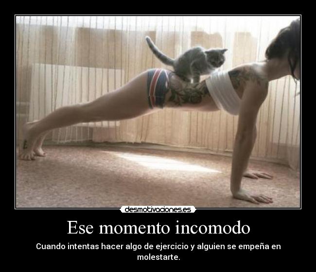 carteles papapitufo lets fuck desmotivaciones