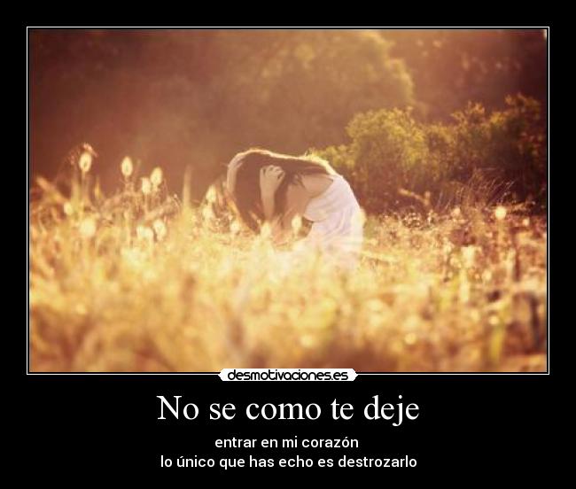 No se como te deje - 