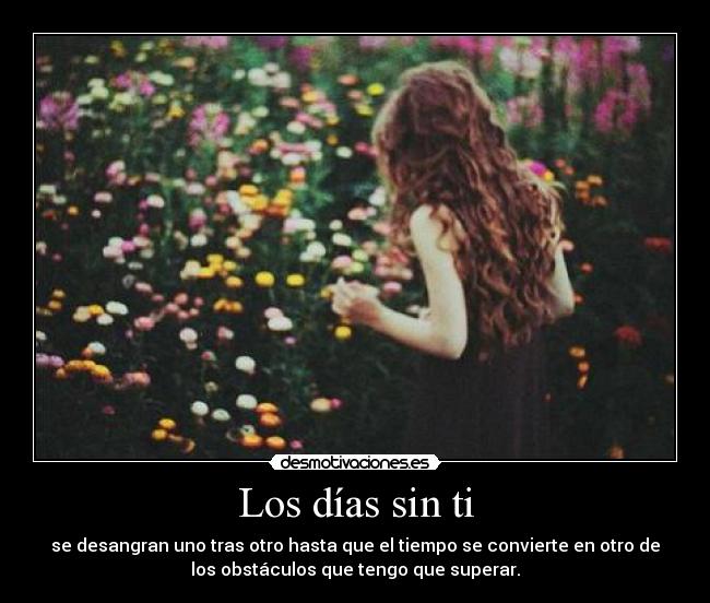 Los días sin ti - se desangran uno tras otro hasta que el tiempo se convierte en otro de
los obstáculos que tengo que superar.