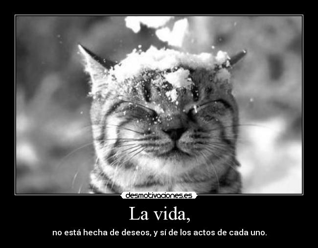 La vida, -
