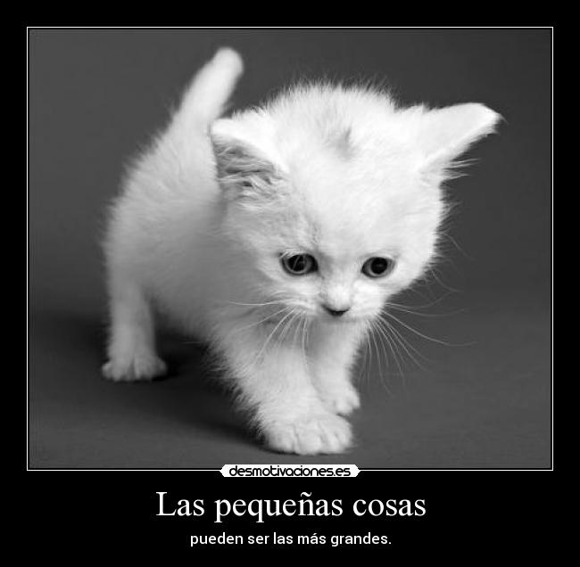 Las pequeñas cosas -