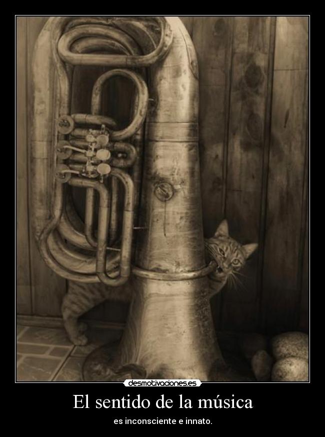 El sentido de la música - 