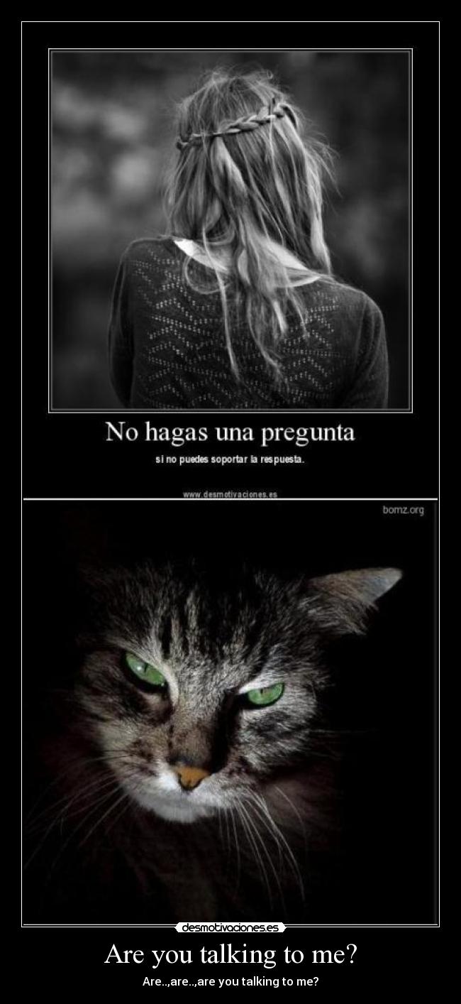 carteles miau desmotivaciones