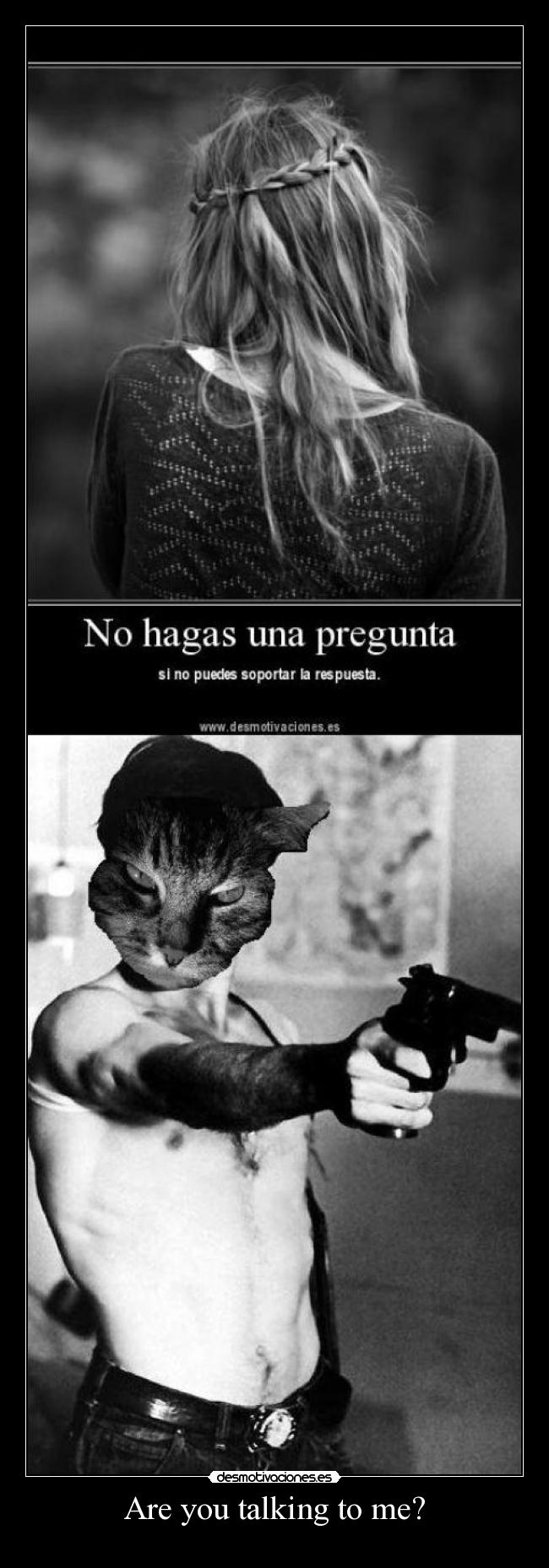 carteles miau desmotivaciones