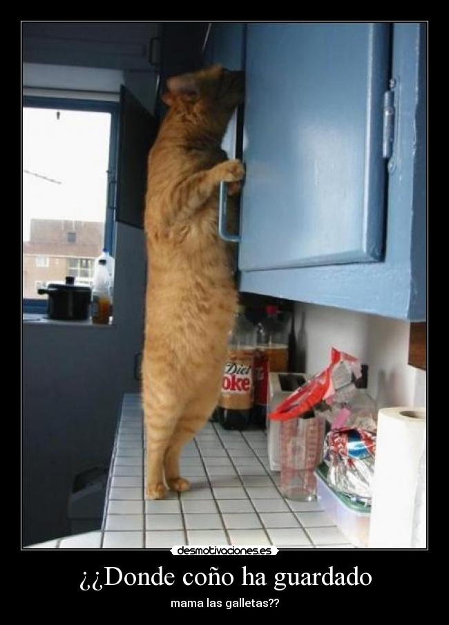 ¿¿Donde coño ha guardado - mama las galletas??