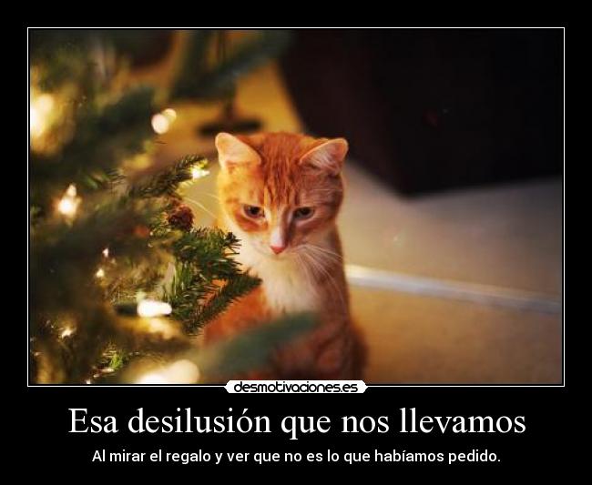 Esa desilusión que nos llevamos -